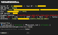Remot Shell
